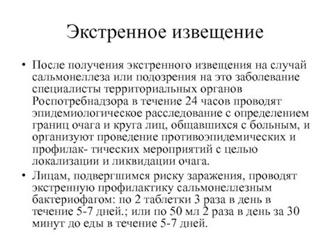 Особенности получения экстренного займа на пластик