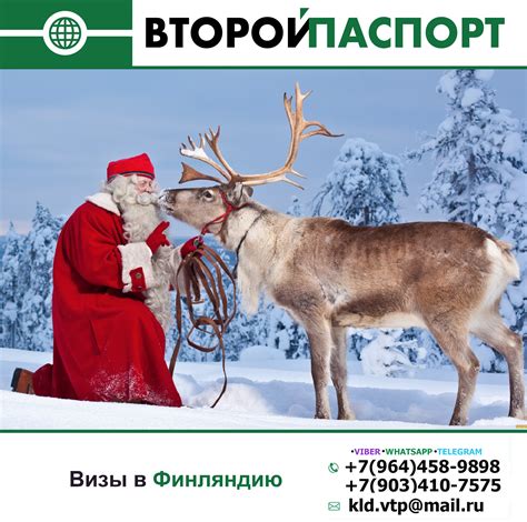 Подготовительные действия для предоставления требуемых официальных бумаг