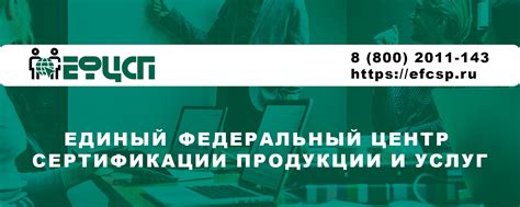 Советы по подготовке документов для быстрого получения дополнительных средств